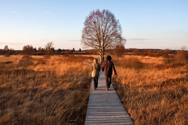 auf den Stegen im Brackvenn Bild0007
